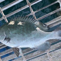 秋ですね。朝は肌寒い