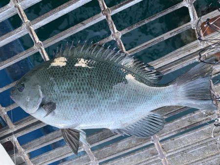 秋ですね。朝は肌寒い