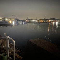 今回は渋かったです。