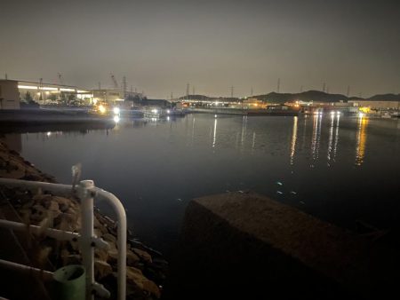 今回は渋かったです。