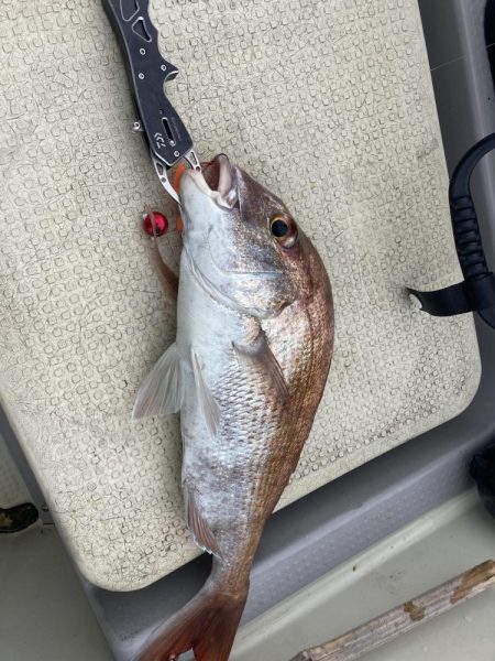 久しぶりの小豆島の西側回り