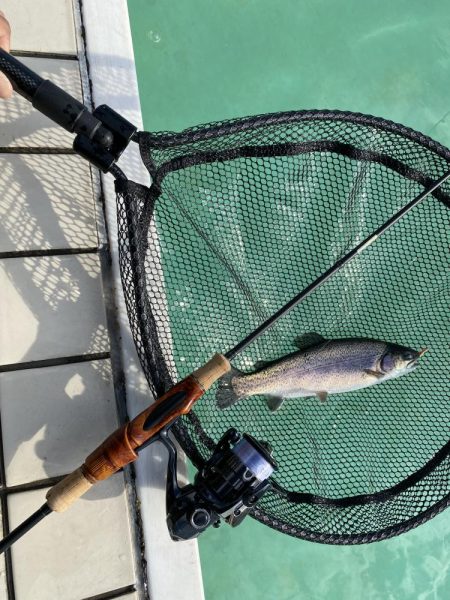 カメプーでエリアトラウト