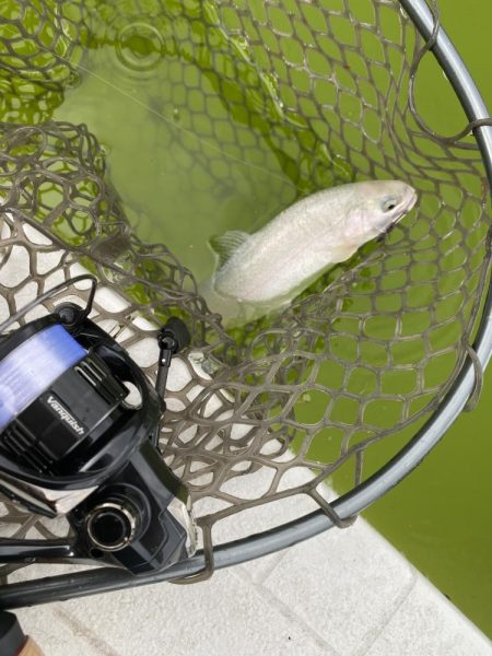 釣れない日に当たった。