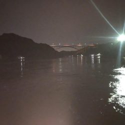 検証　虫ヘッド最強説