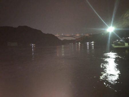 検証　虫ヘッド最強説