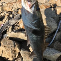 肌寒くなり秋を感じますね