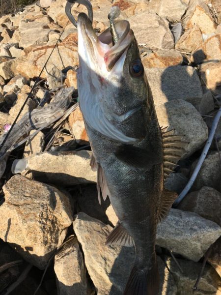 肌寒くなり秋を感じますね