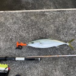 やっぱりポッパー最高！