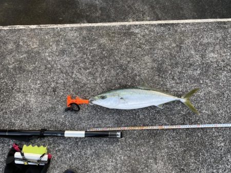 やっぱりポッパー最高！