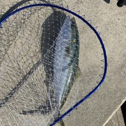 昼過ぎにズドン