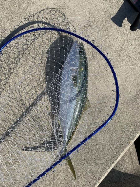 昼過ぎにズドン