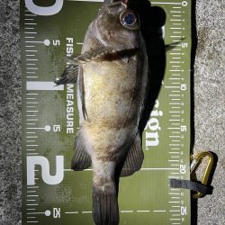 防寒対策しっかりしよう