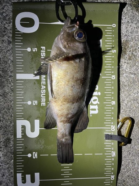 防寒対策しっかりしよう