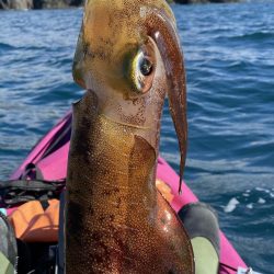 ティップランで自己最高記録