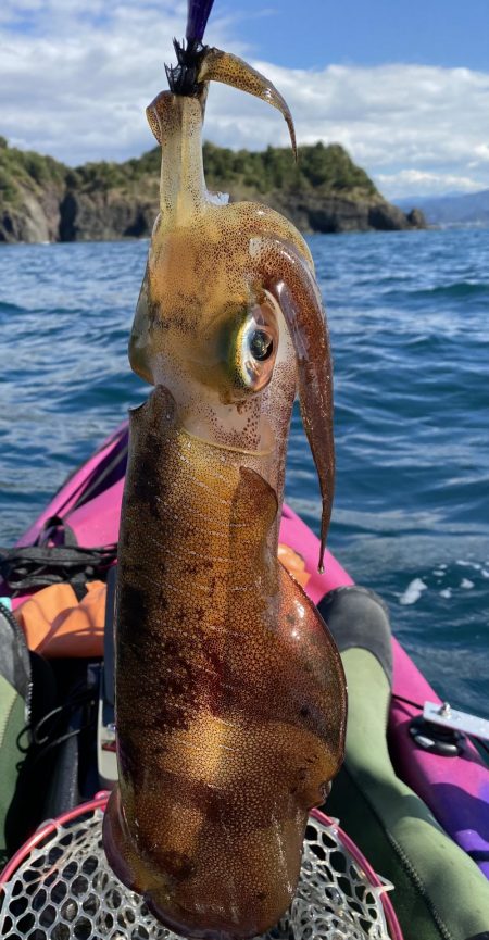 ティップランで自己最高記録