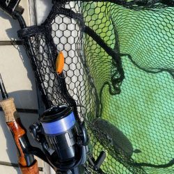 エリアトラウトin亀岡市