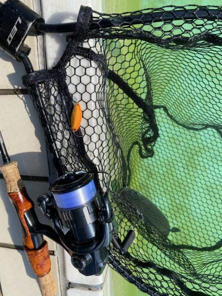 エリアトラウトin亀岡市