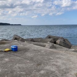 ショアジギング