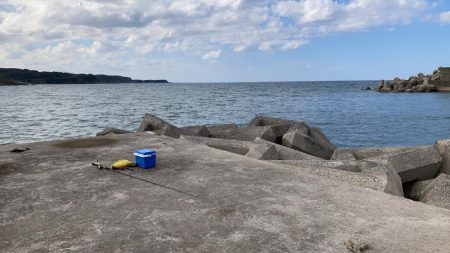 ショアジギング