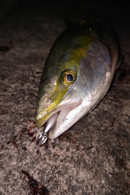 夕暮れでヒット