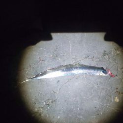 シンキングベンシル