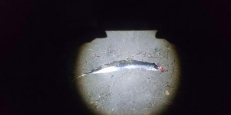 シンキングベンシル