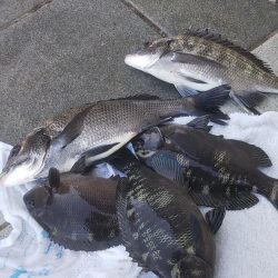 堤防小物フカセ