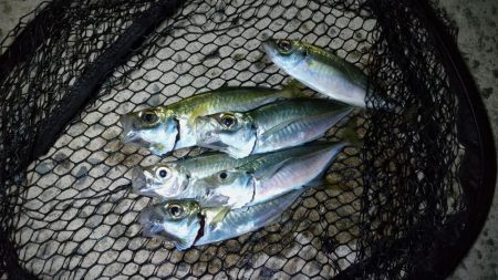 常夜灯でポツポツ