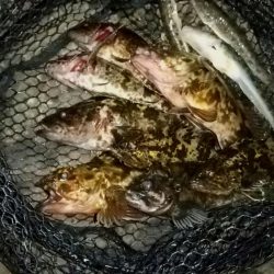 港内ボトム探り