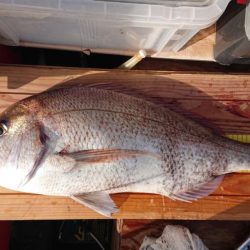 久々の2馬力ボート釣り