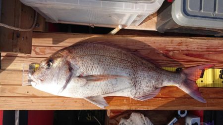 久々の2馬力ボート釣り