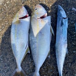 ショアジギング