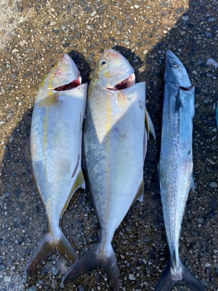 ショアジギング