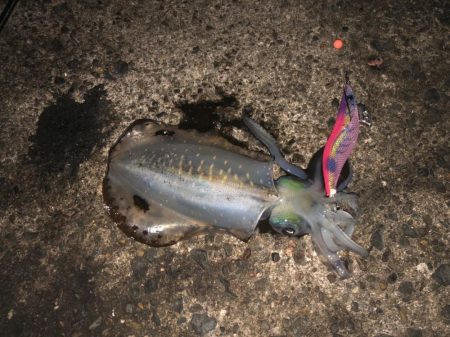 最後はホームでRUN