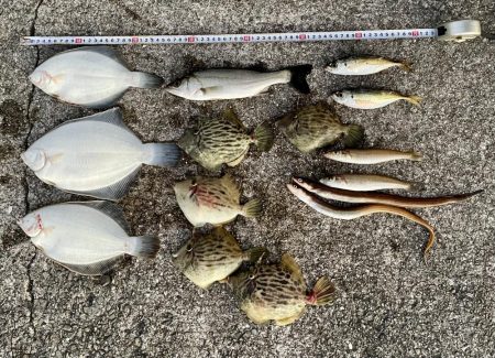 カレイと五目釣り