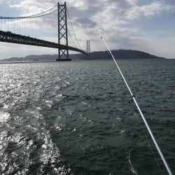 カレイ不発!とうつきはじめました?