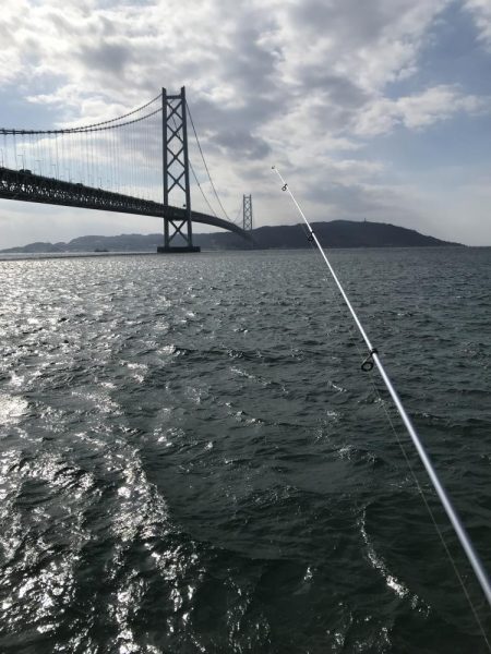 カレイ不発!とうつきはじめました?