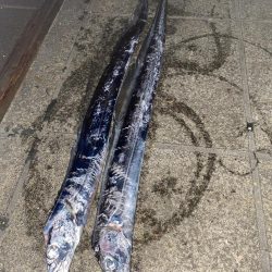 爆風サーベング