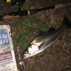 ががっときました。