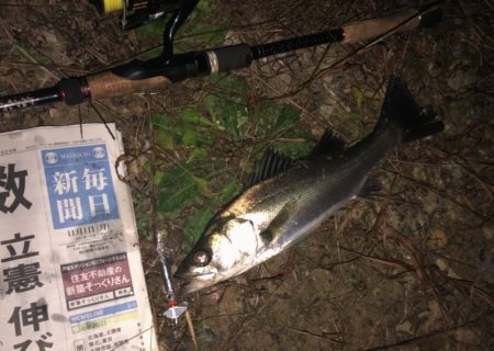 ががっときました。