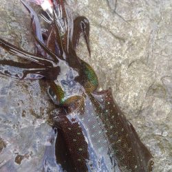 ボーズを覚悟？？