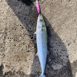 ショアジギング