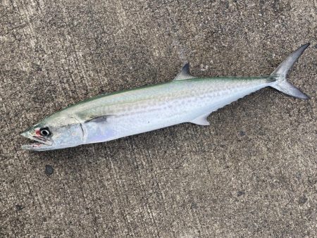 寒波の来る前に