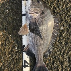 イチノ兄弟、釣果！