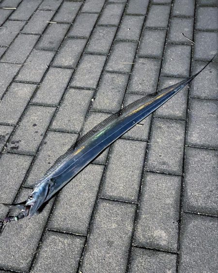 2年ぶりだよ〜(^^)