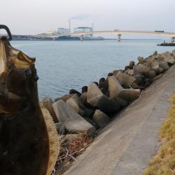 太刀魚とヒラメが釣れました