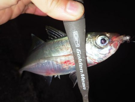 もう少しでギガ