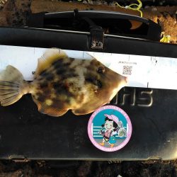 フカセ‥最高ですネ・・