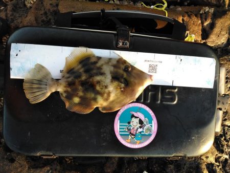 フカセ‥最高ですネ・・