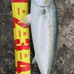 爆風!!ヽ(ﾟдﾟヽ)(ﾉﾟдﾟ)ﾉ!!